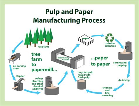 Fiber + Pulp | Robert C. Williams Museum of Papermaking