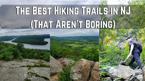 14 Best Hikes in NJ That Aren't Boring