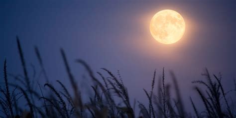 When and How to See October’s Full Harvest Moon in Fall 2020