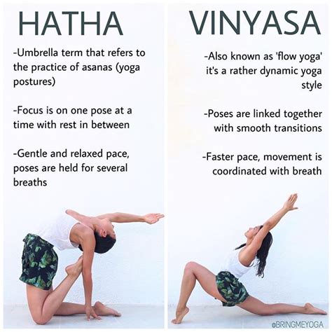 HATHA vs VINYASA! | Yoga tutorial, Yoga fitness inspiration, Dynamic yoga