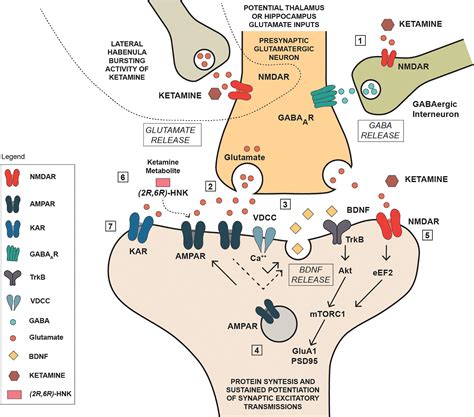 Frontiers | Repurposing Ketamine in Depression and Related Disorders ...