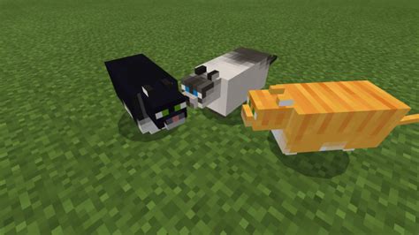 Fat Cats! | Minecraft PE Mods & Addons