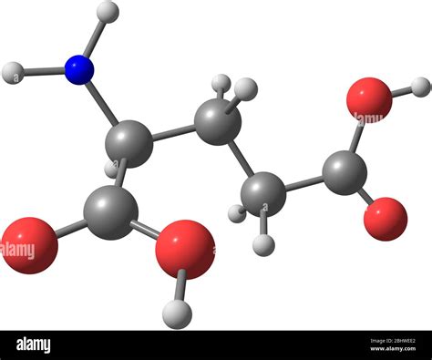 A model of Glutamic Acid, an amino acid. It has an important function in cell metabolism and ...