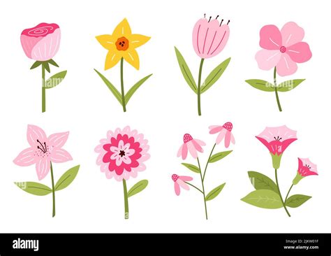 Set of different cute flowers isolated on white background. Vector ...