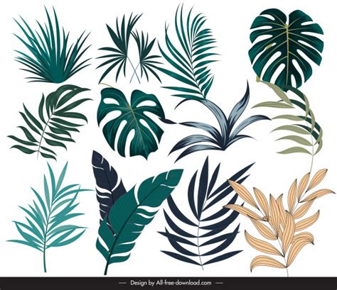 Tropical Flowers Border Free Vector | Best Flower Site