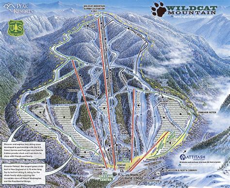 2019-20 Wildcat Trail Map - New England Ski Map Database - NewEnglandSkiHistory.com