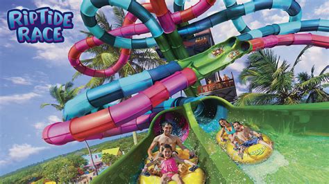 Florida’s First Dueling Water Slide Will Debut At Aquatica Orlando In 2020 – Coaster Nation