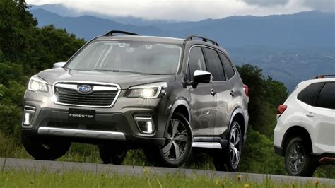 Are You Looking For The Best Compact SUV? New Subaru Forester Scores 12th Award | Torque News