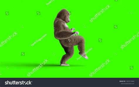 Funny Brown Gorilla Walking Super Realistic Stock Illustration 1207219960 | Shutterstock