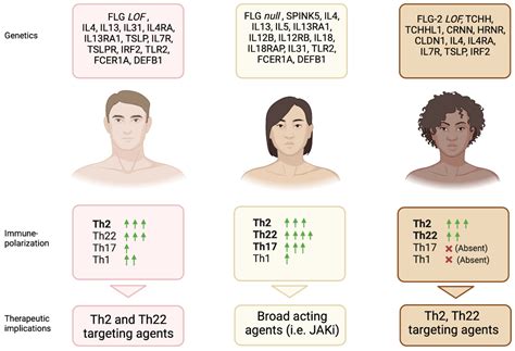 Atopic Dermatitis Distribution