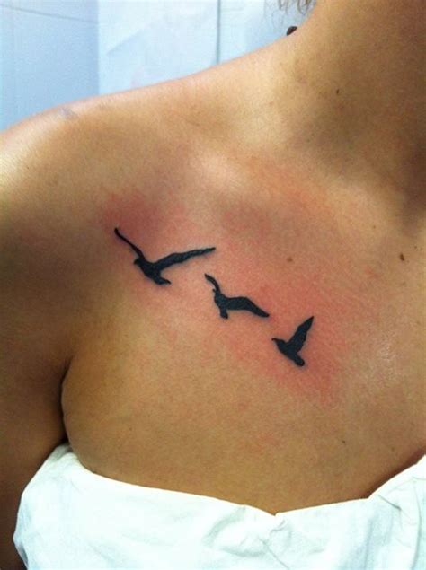 gaviotas | Gaviota, Piercing