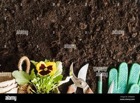 Tool botanist hi-res stock photography and images - Alamy