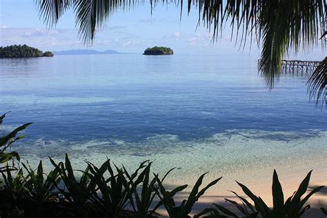 Sulawesi Travel Guide - Attractions + Itinerary + Things to do