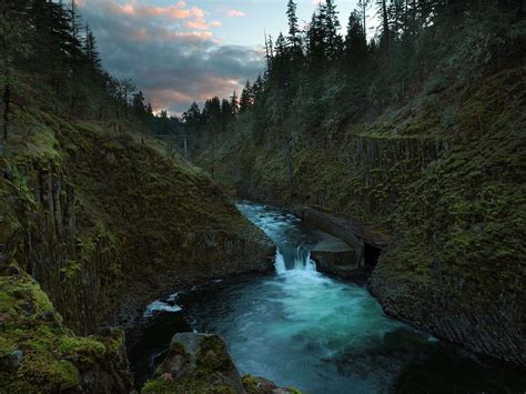 Hike of the Month: Punchbowl Falls (Hood River) – Trailkeepers of Oregon