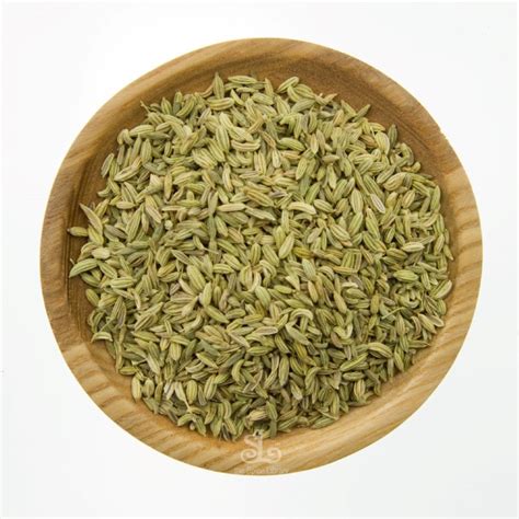 Fennel Seeds Whole | The Spice Library