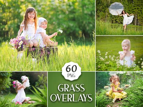 60 Grass Overlays Green Grass Photoshop Textures Summer - Etsy