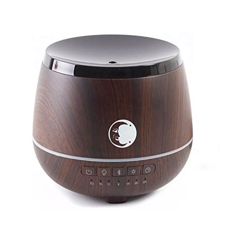 Best Humidifier To Use With Essential Oils In 2024