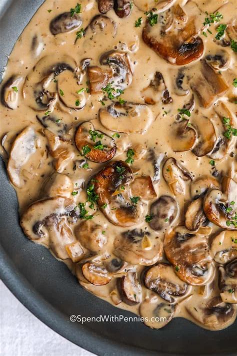 Creamy Mushroom Sauce {Easy & Versatile} - Spend With Pennies