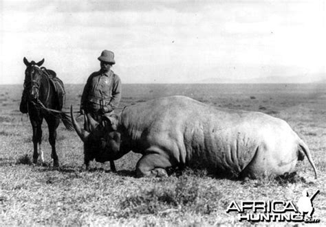 Theodore Teddy Roosevelt African Safari & Scientific Expedition ...