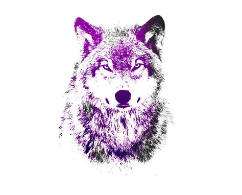 Purple Wolf Wallpapers - Top Free Purple Wolf Backgrounds - WallpaperAccess