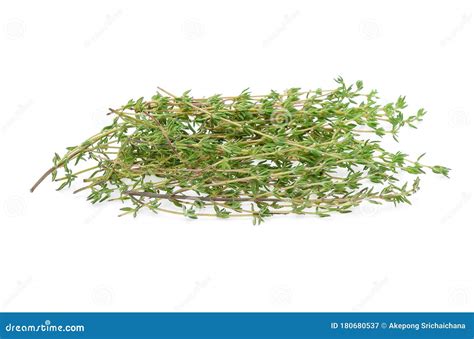 Thyme Sprigs Isolated on a White Background Stock Image - Image of macro, aroma: 180680537