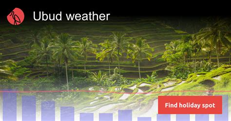 Ubud weather and climate in 2024 | Sunheron