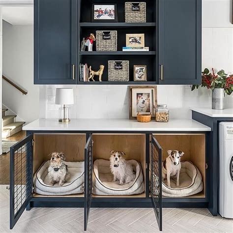 24 Ideas for Designing & Organizing a Dog Room | Extra Space Storage