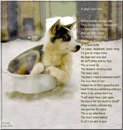 Mostly Mutts: A Dog's Last Will