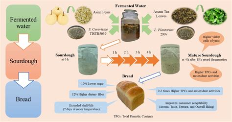 Foods | Free Full-Text | Improvement of Sourdough and Bread Qualities ...