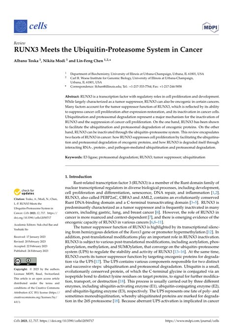 (PDF) RUNX3 Meets the Ubiquitin-Proteasome System in Cancer