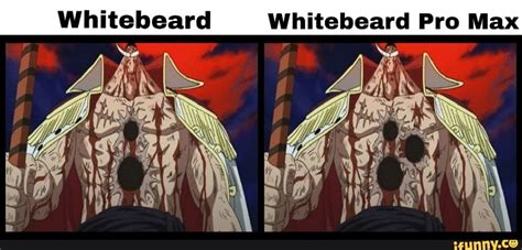 Whitebeard Whitebeard Pro Max – popular memes on the site iFunny.co # ...