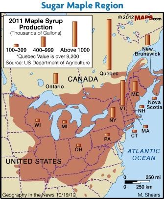 Maple Syrup Time – GEOGRAPHY EDUCATION