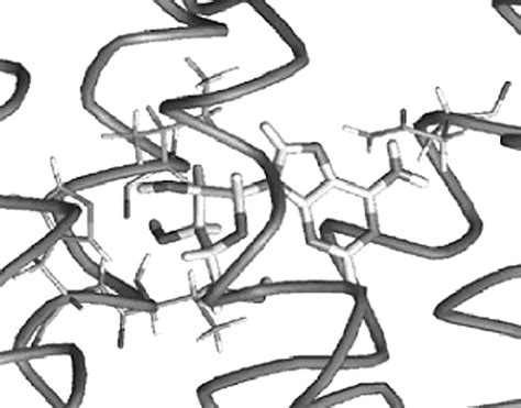 The complex of adenosine with the A1 adenosine receptor. | Download ...