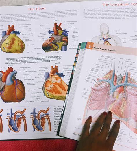 MY FIRST HUMAN GROSS ANATOMY LAB - Happiness, Joi, & Gloss