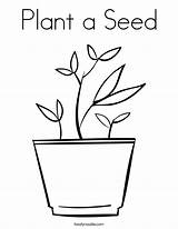 Free Plant Coloring Page Download Png Images  sketch template