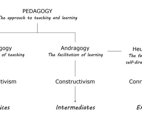 Examples and Pedagogy - eLearning Learning