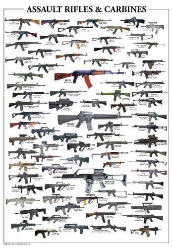 Assault Rifles & Carbines Poster | Armory Blog