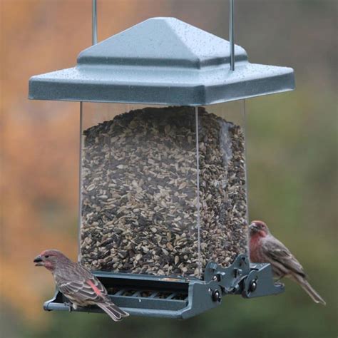 Audubon Vista Squirrel-Resistant Bird Feeder by Audubon at Fleet Farm