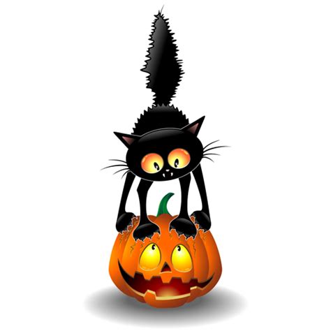 Pumpkin Cat Halloween 2024 halloween party chicago 2024 - Halloween 2024