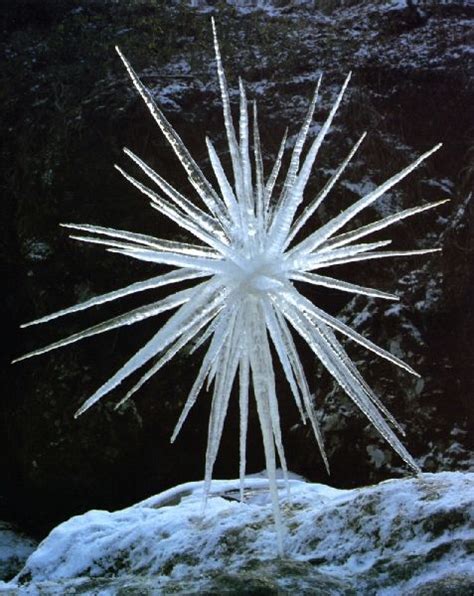 Andy Golthworthy | Andy goldsworthy, Ice sculptures, Andy goldsworthy art