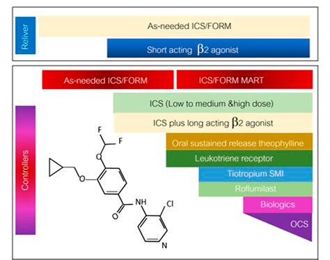 Figure 1 from Phosphodiesterase-4 Inhibitors for Non-COPD Respiratory ...