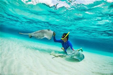 Stingray Beach Reviews | U.S. News Travel