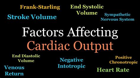 Factors Regulating Cardiac Output - YouTube