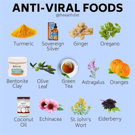 The Earth Diet’s Instagram post: “These foods all have anti-viral ...