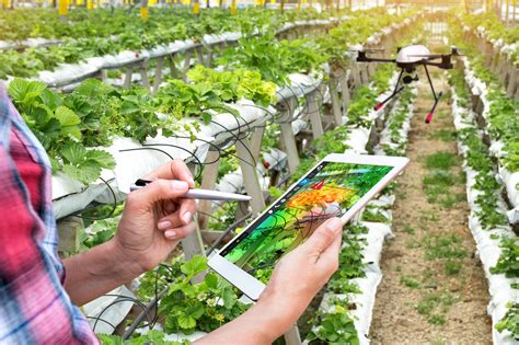 Agricoltura di precisione: il nuovo corso attivato dalla Statale di Milano