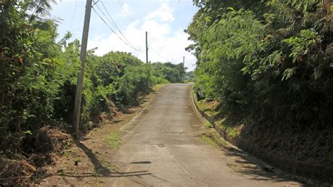 Oceanfront Lot • Land • Grenada Real Estate & Property For Sale and For Rent | Terra Caribbean ...