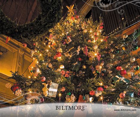 Biltmore House Christmas Tree HD desktop wallpaper : Widescreen : High ...