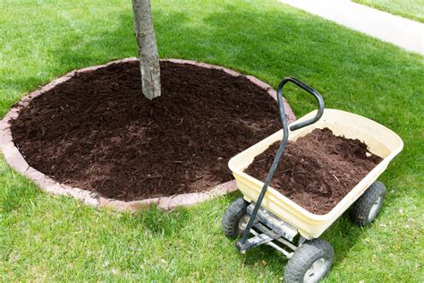 How To Mulch Around Trees - Gateway Home & Garden Center