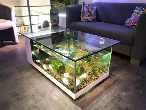 Glamorous And Outclass Wall Aquarium Mounted Decoration Ideas And ...