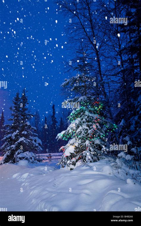 Snow Falling At Night Christmas